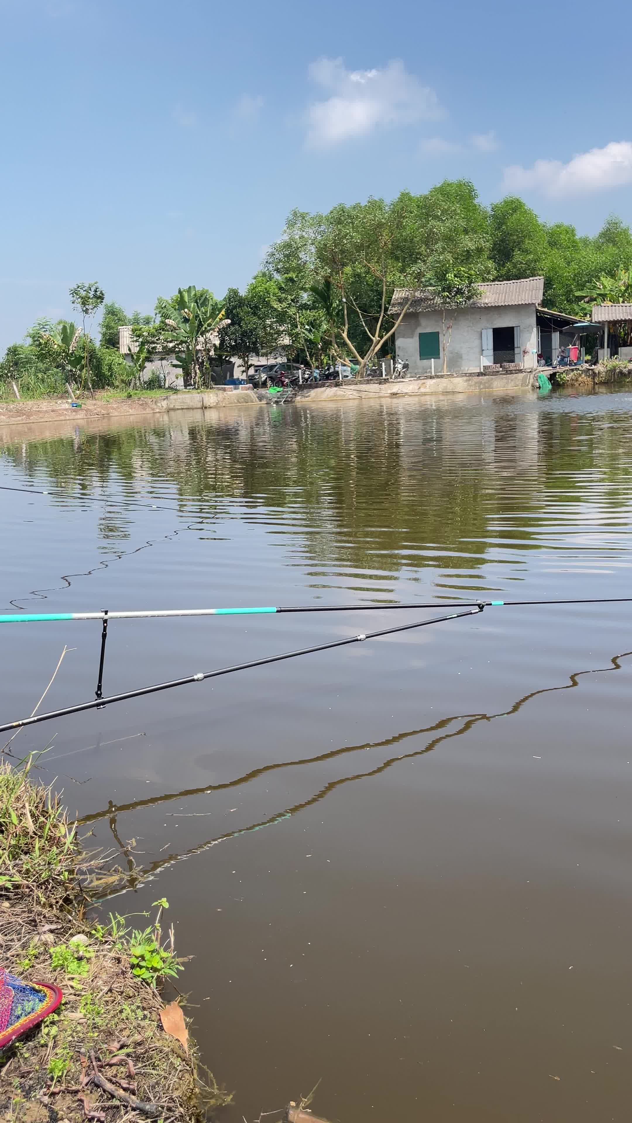 @Ngọc đăng đồ c&acirc;u