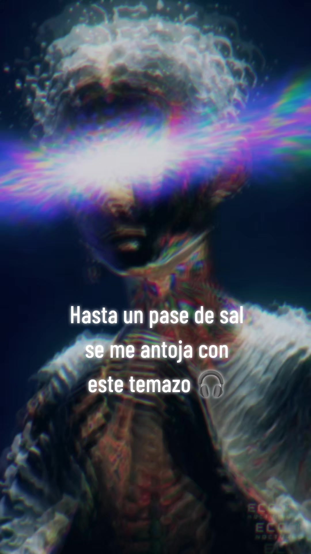 @Eco Nocturno