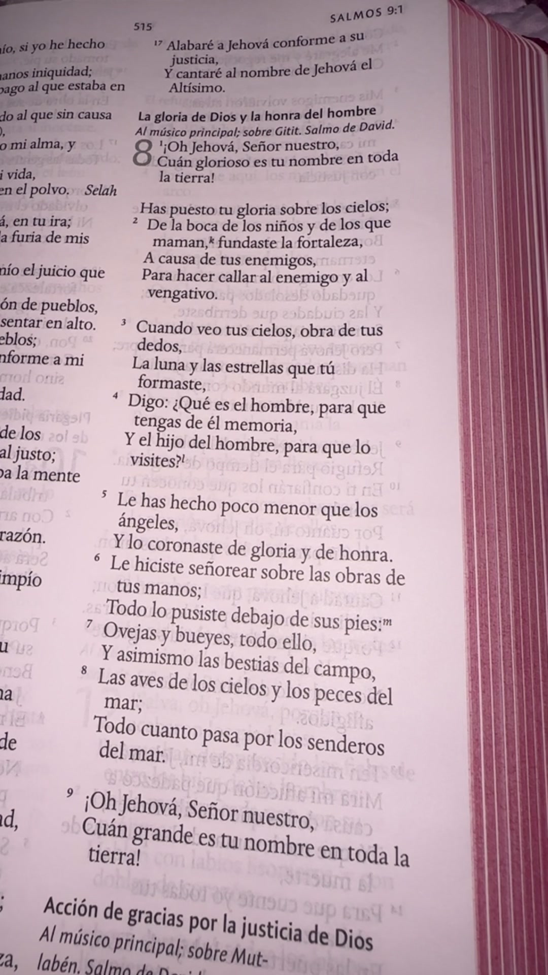 @Karla Berroterán