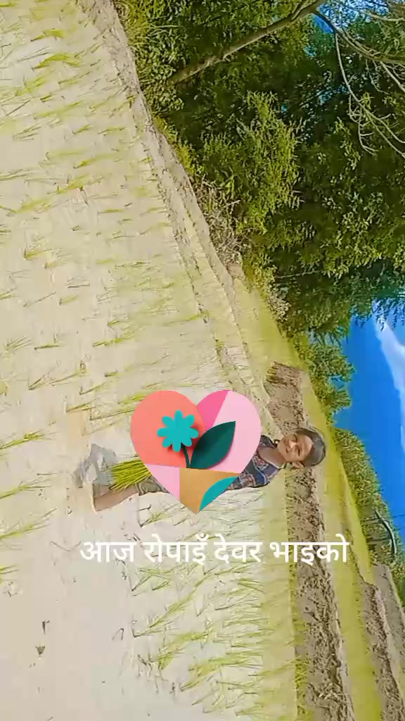 @kushum Darnal