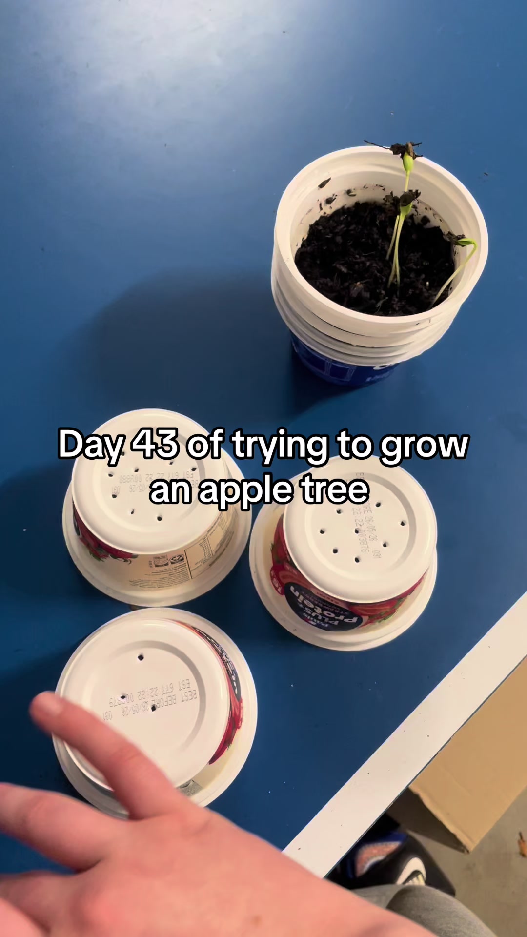 @𝓔𝓶𝓶𝓪