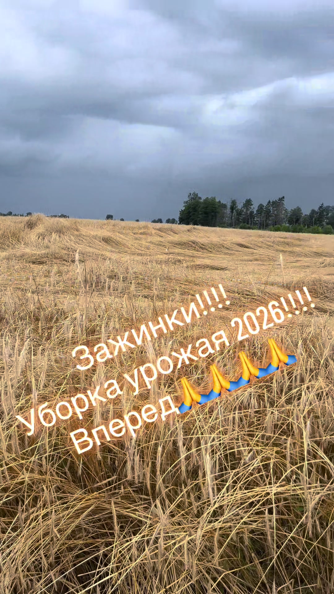 @Ольга