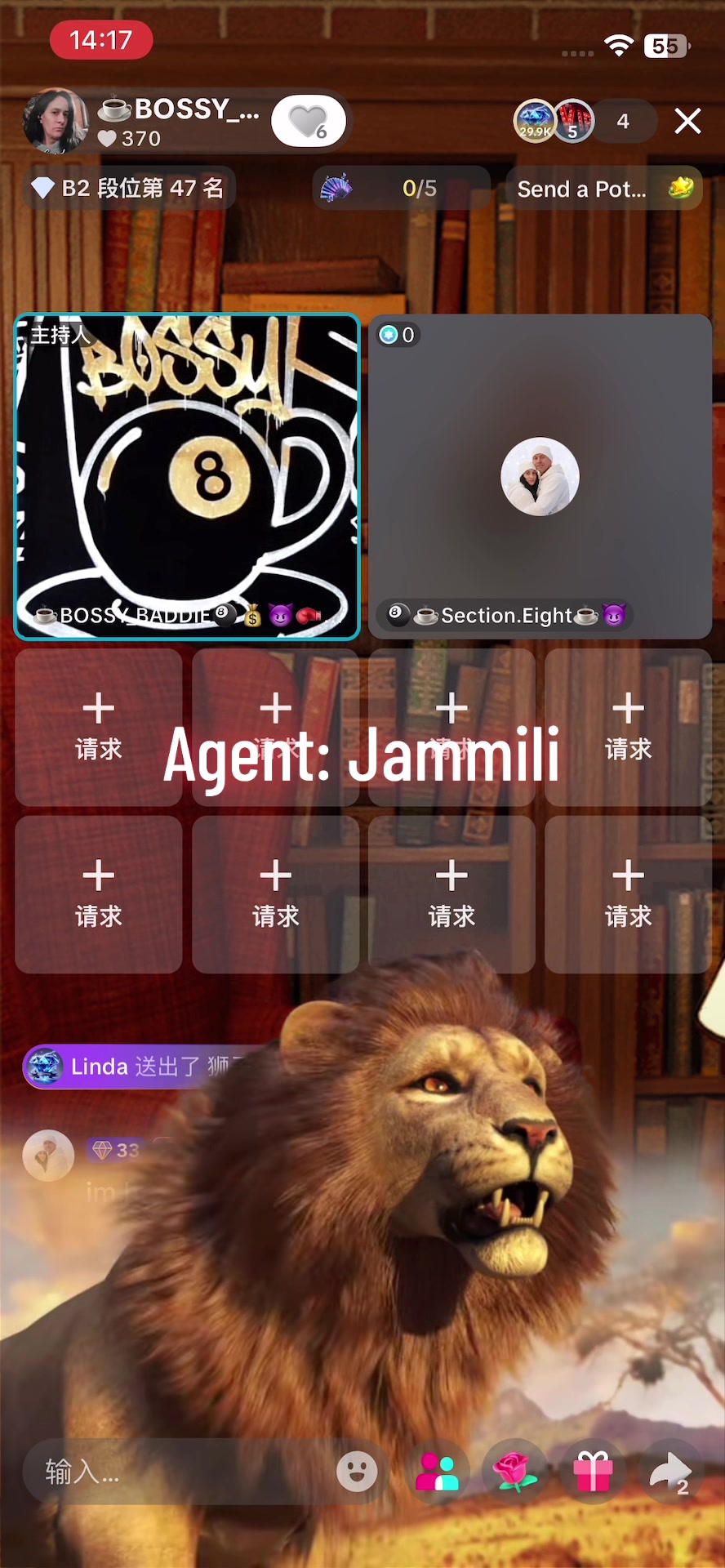 @jammili8899
