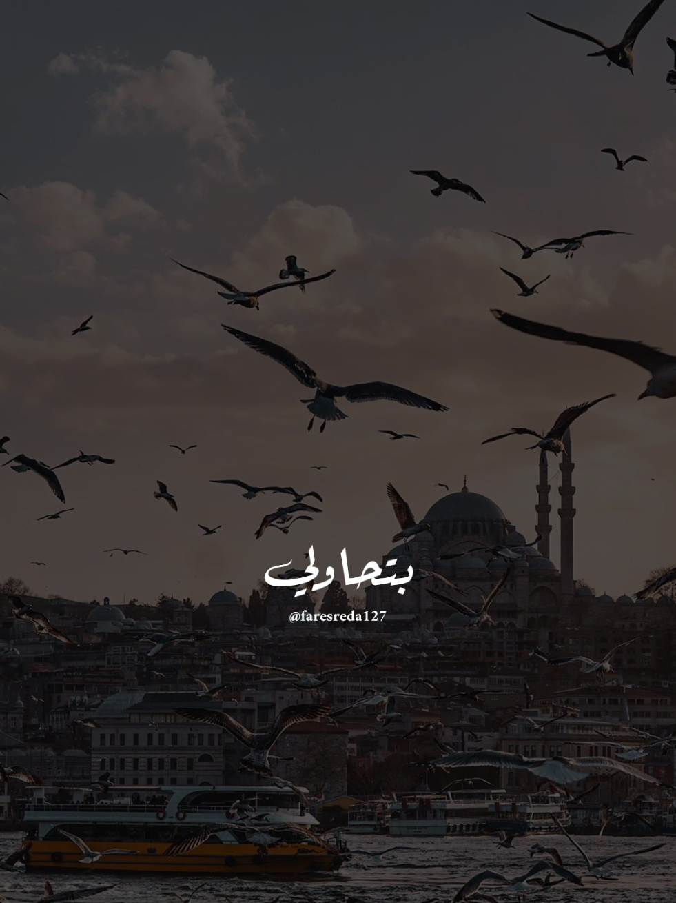 @فــارس♡