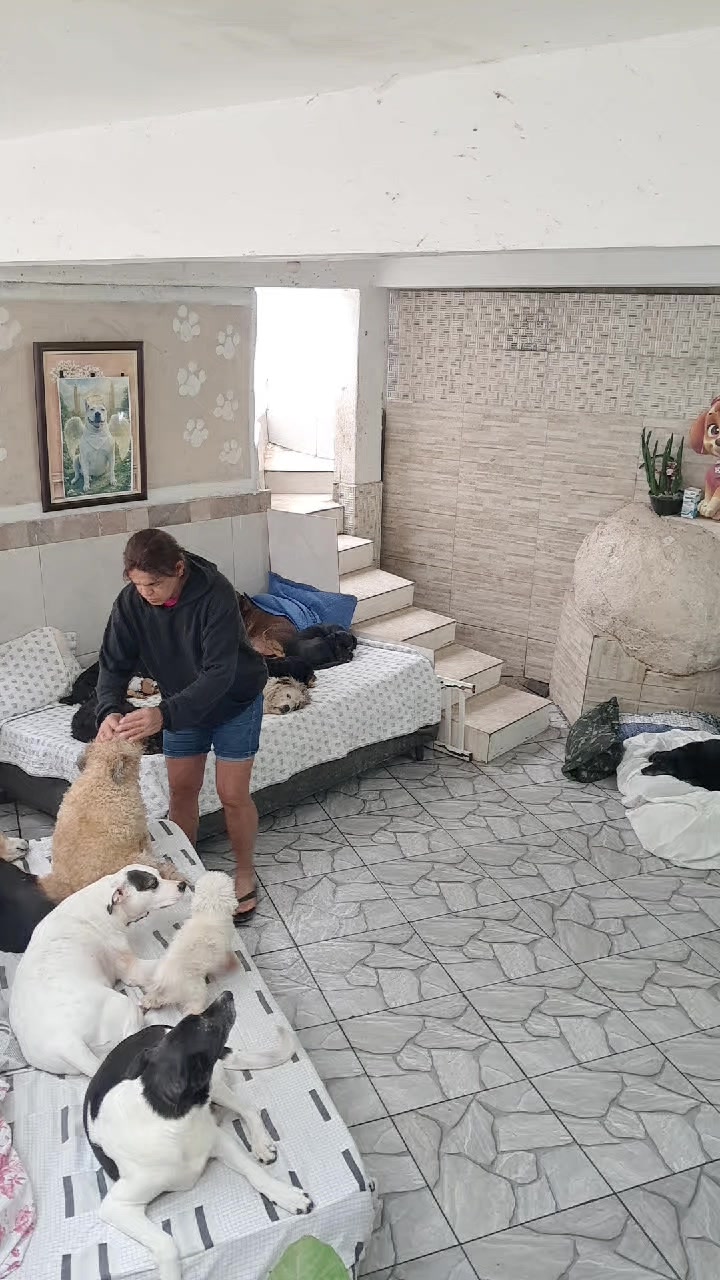 @Ismael e sua AuAuCreche 🐶💖