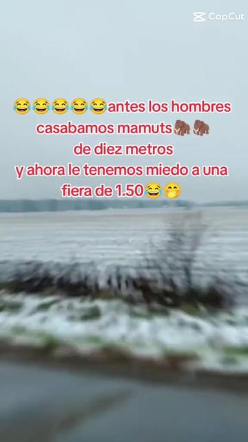 @💦💧🌬️Tito Camus Acuario 🌊🫧