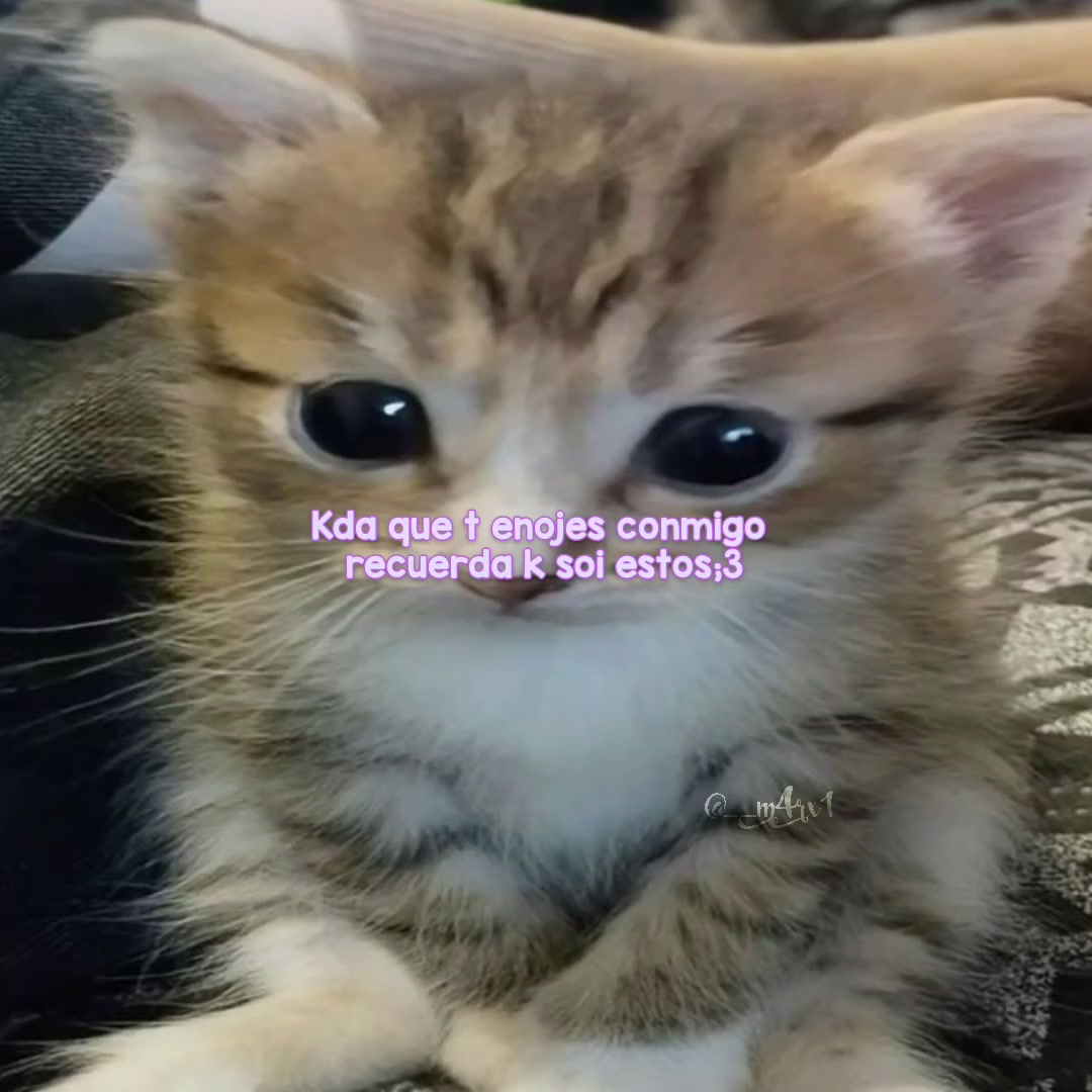 @⤿⌯ 𝆬 ֺ𝓜ׁׅ݊ꪖ𝖗꯱ׁׅ֒i̶ 氣🦭𑇓