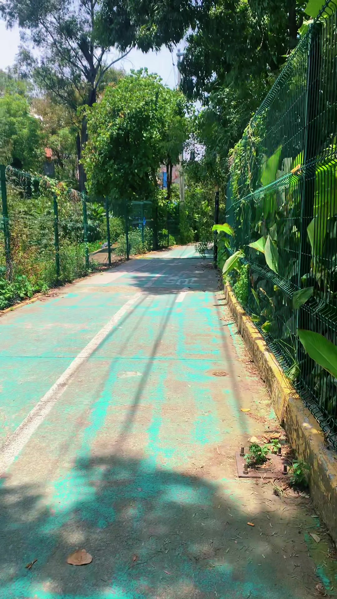 @🦚KOLO YUVA 🦚