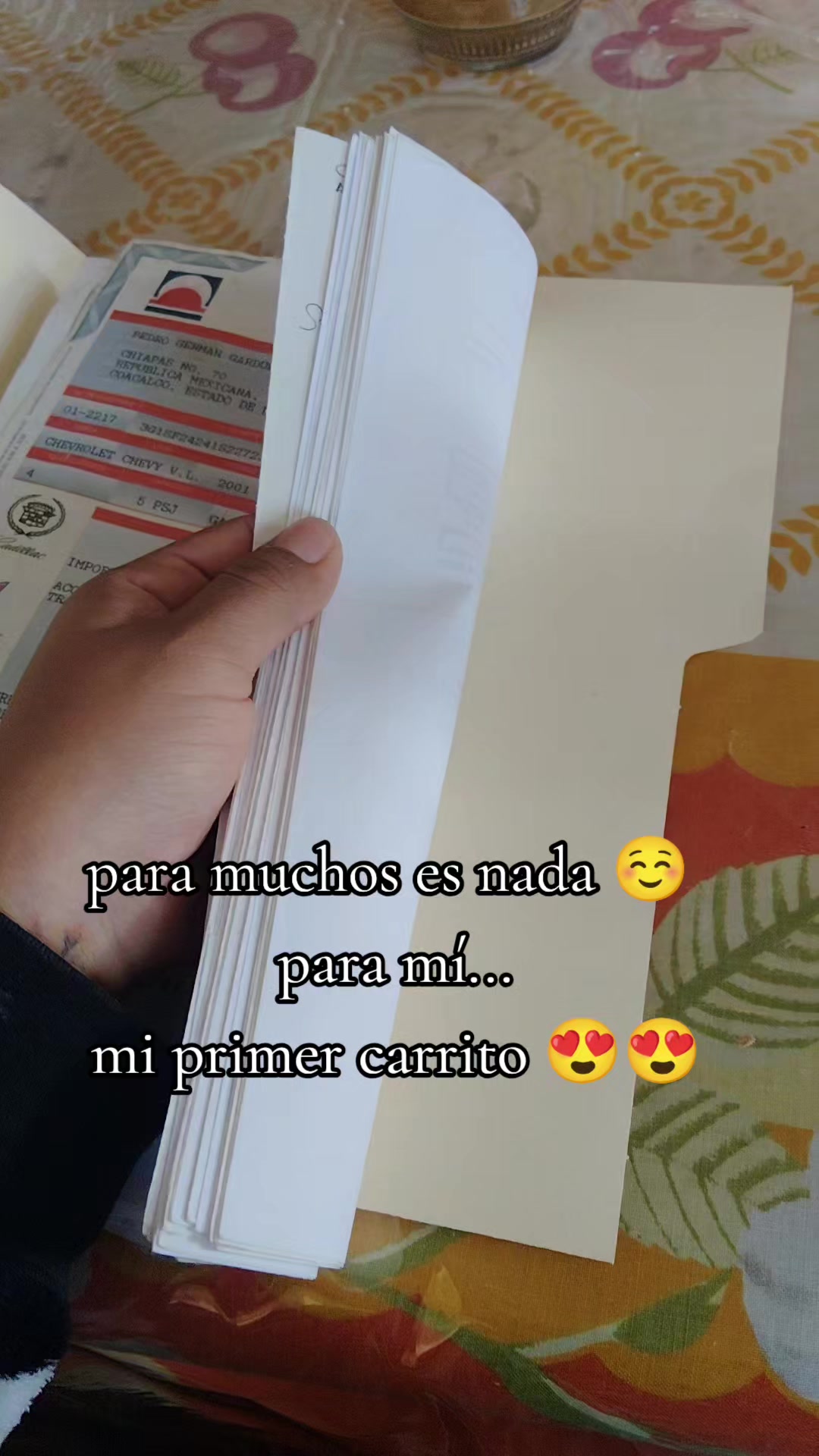 @Bere Palacios🐯