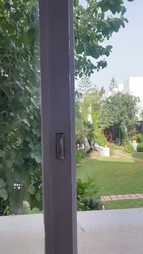 @P&eacute;pini&egrave;re ORIF Laghouat