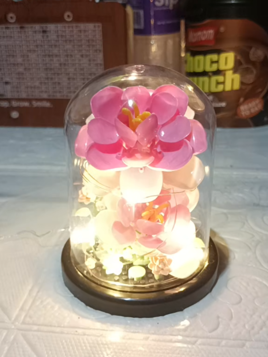 @Yanjie
