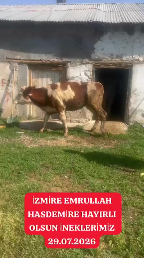 @Erhan Hasdemir