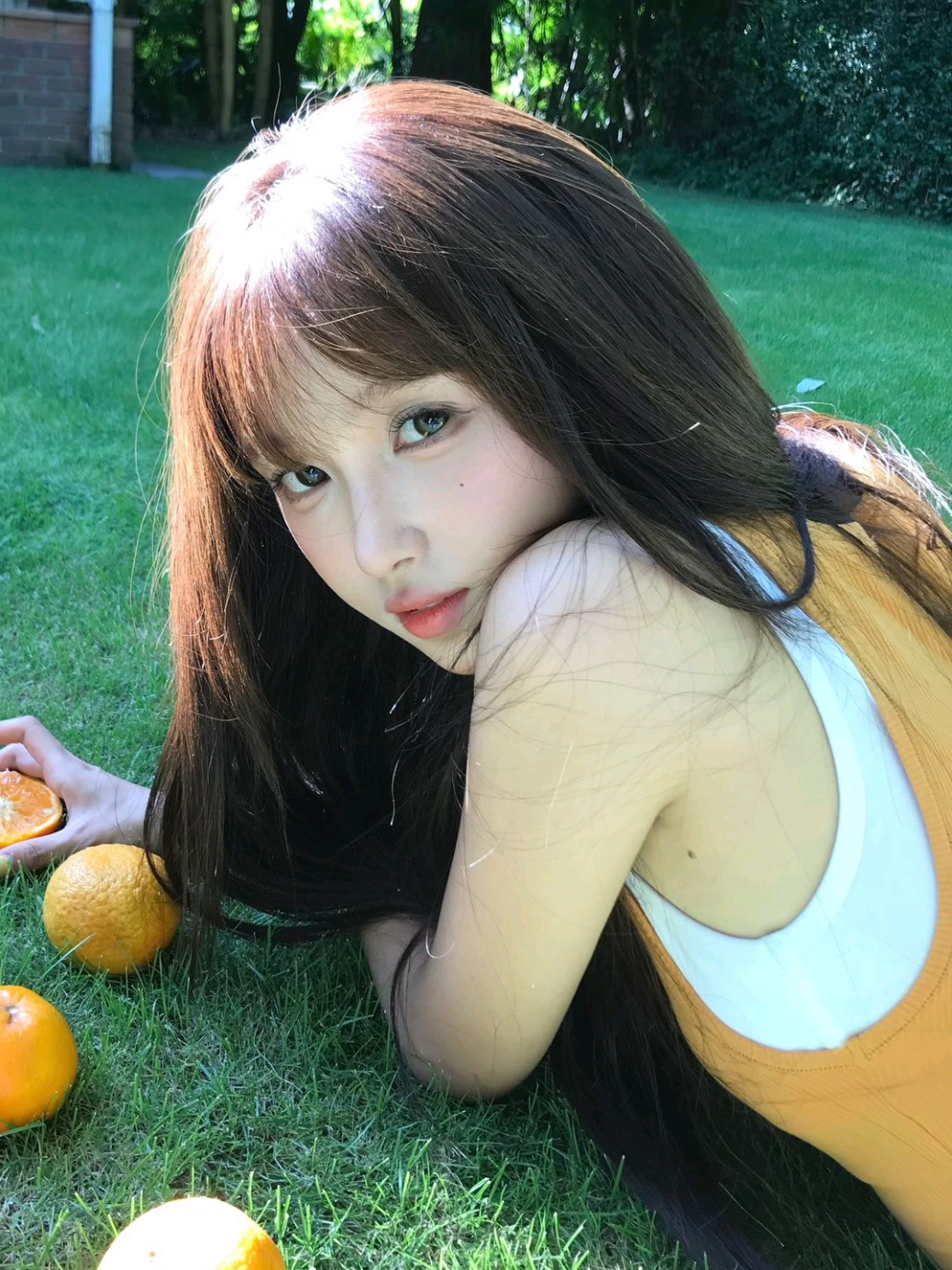 @🍁 王涵 🍁