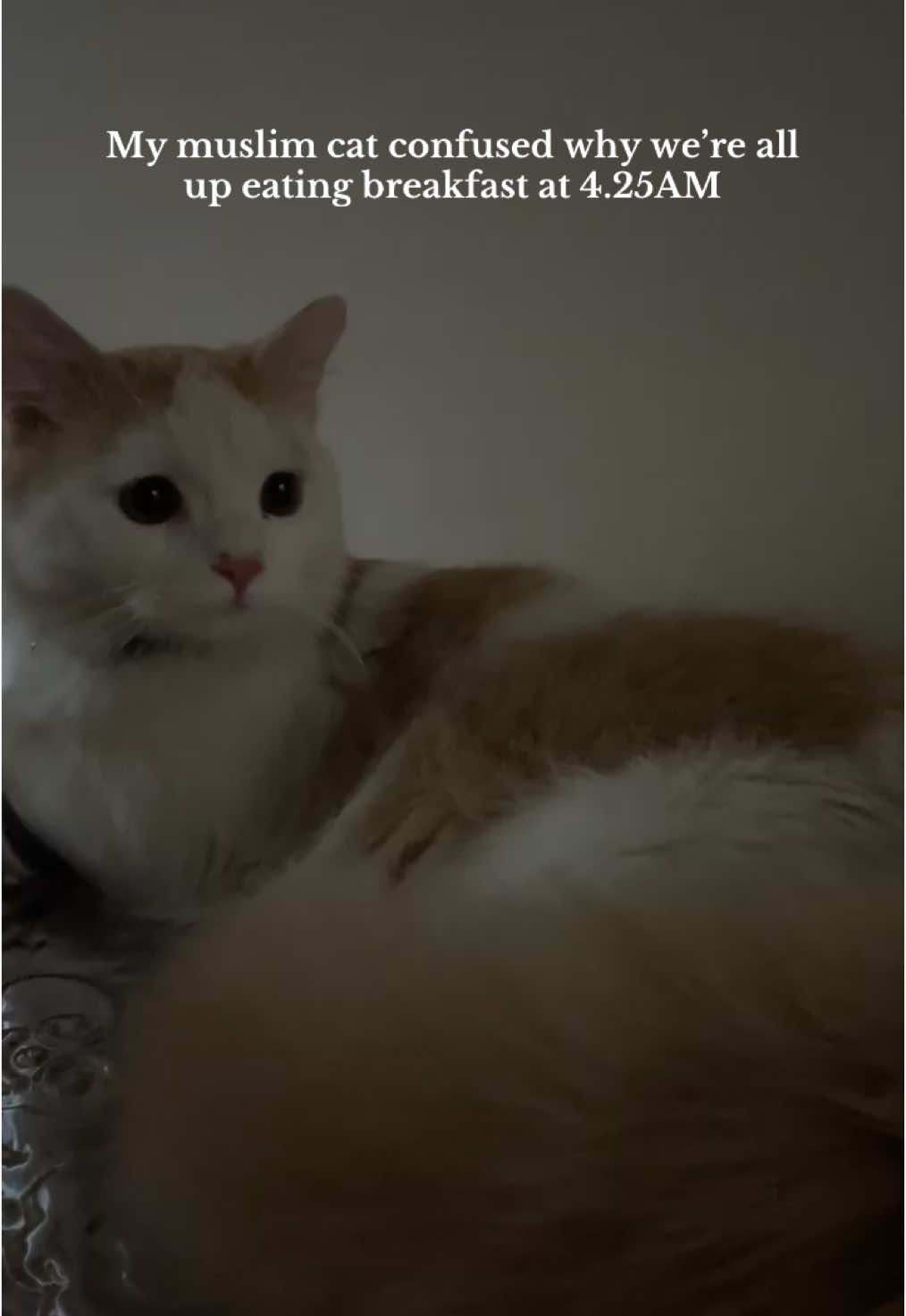 @♡︎