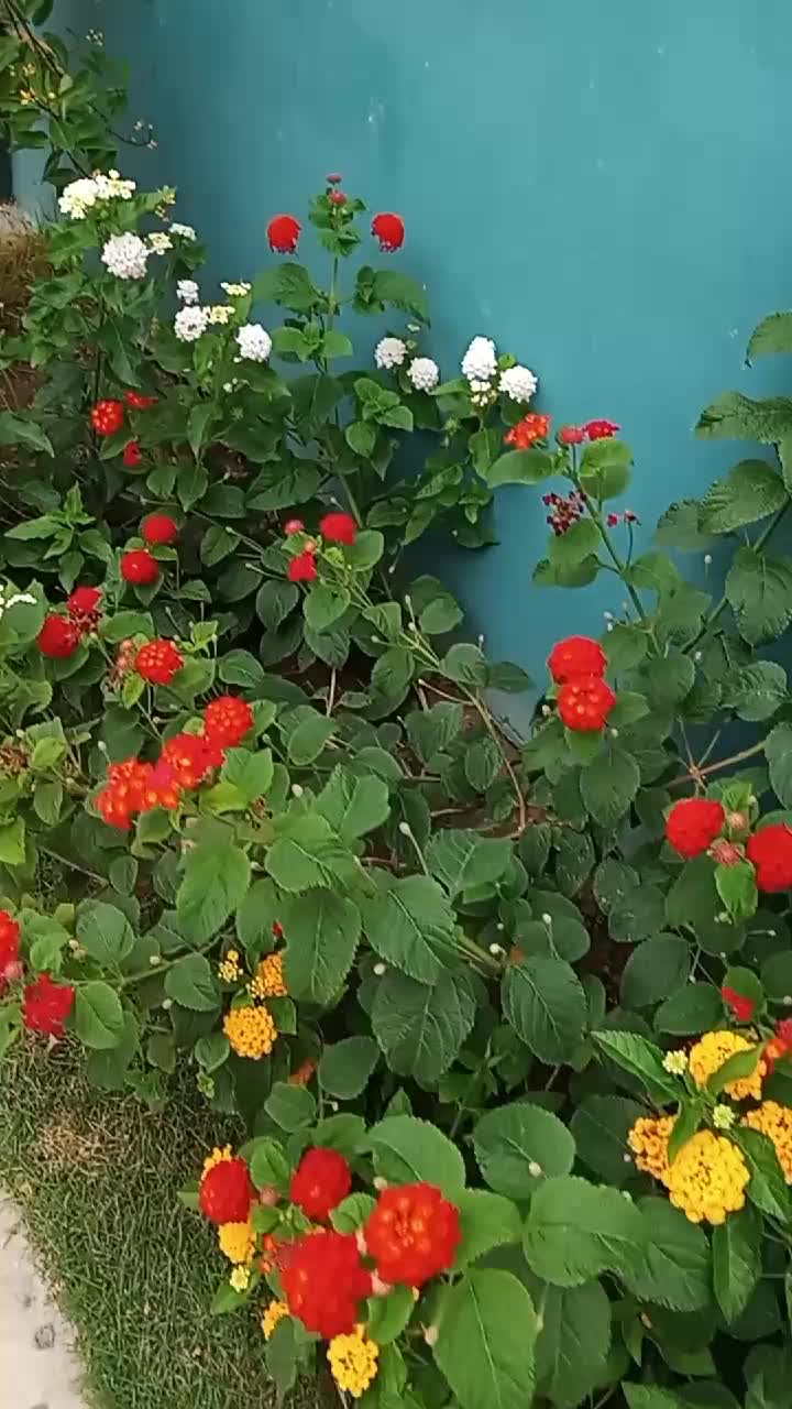 @Rolyn777