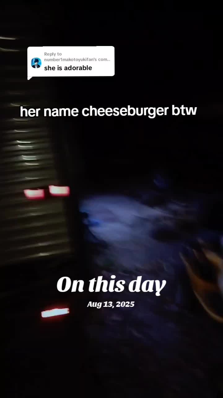 @Spoonz