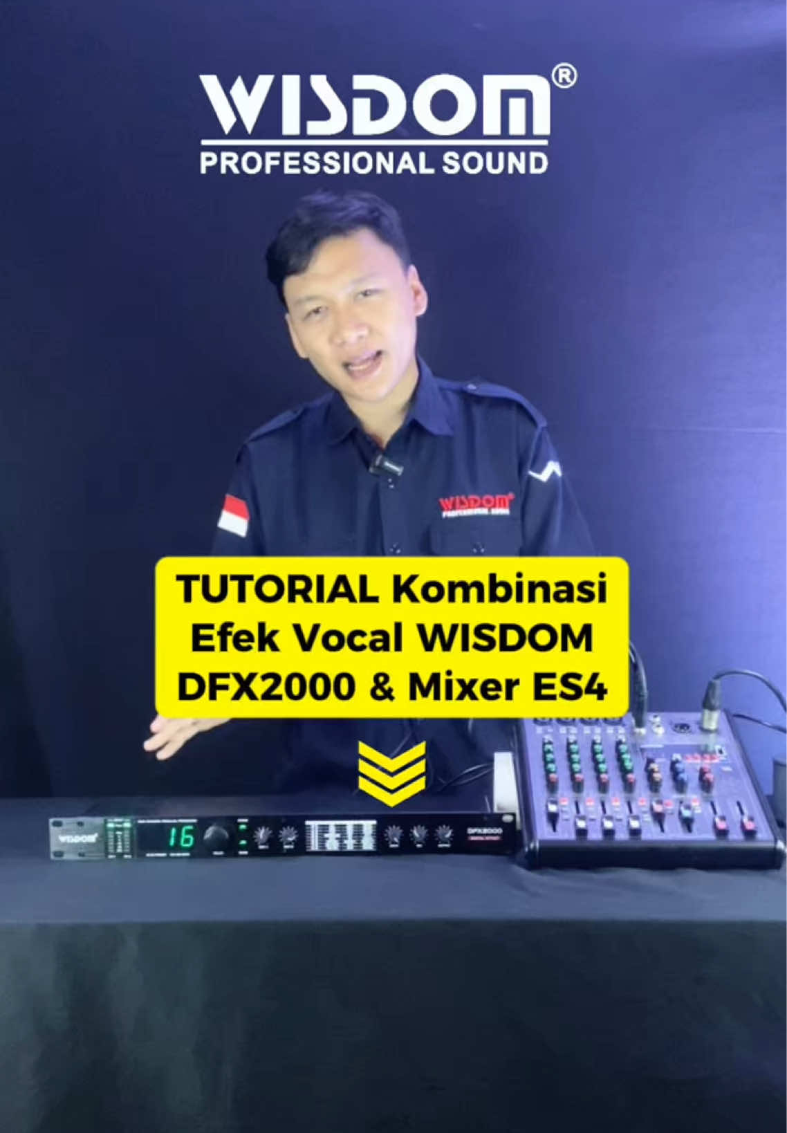 @Wisdom Pro Audio