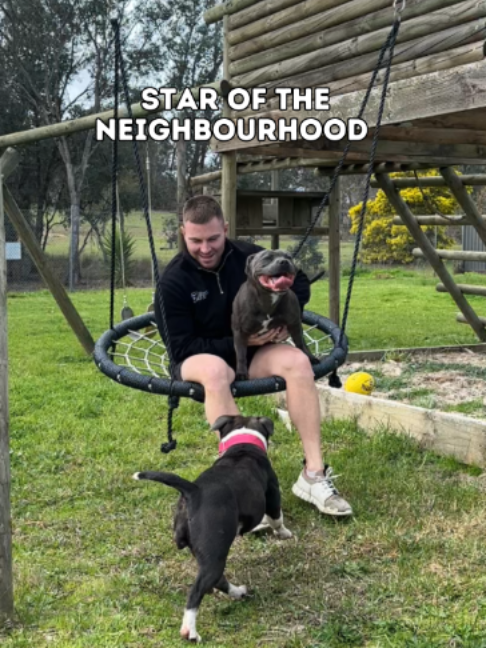 @Happy Staffy Co
