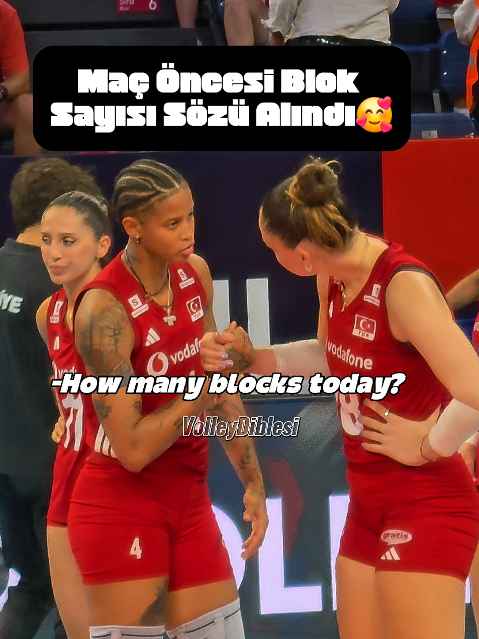 @VolleyDiblesi