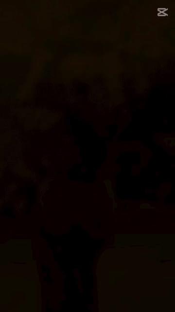 @user28301425132