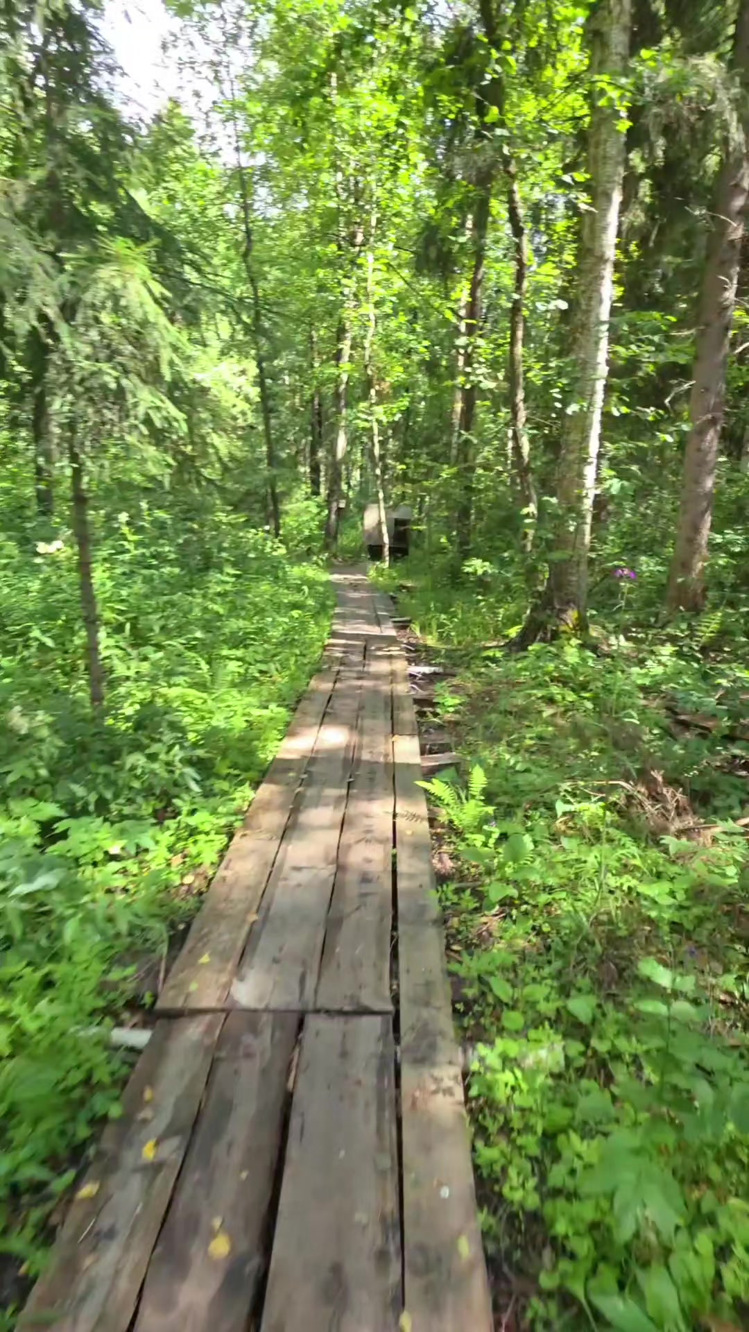 @gribkovkonstantin771Катя
