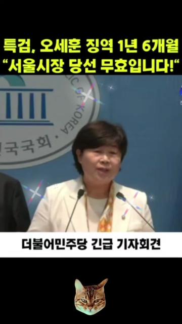 @🌺시라소니[본]🌺