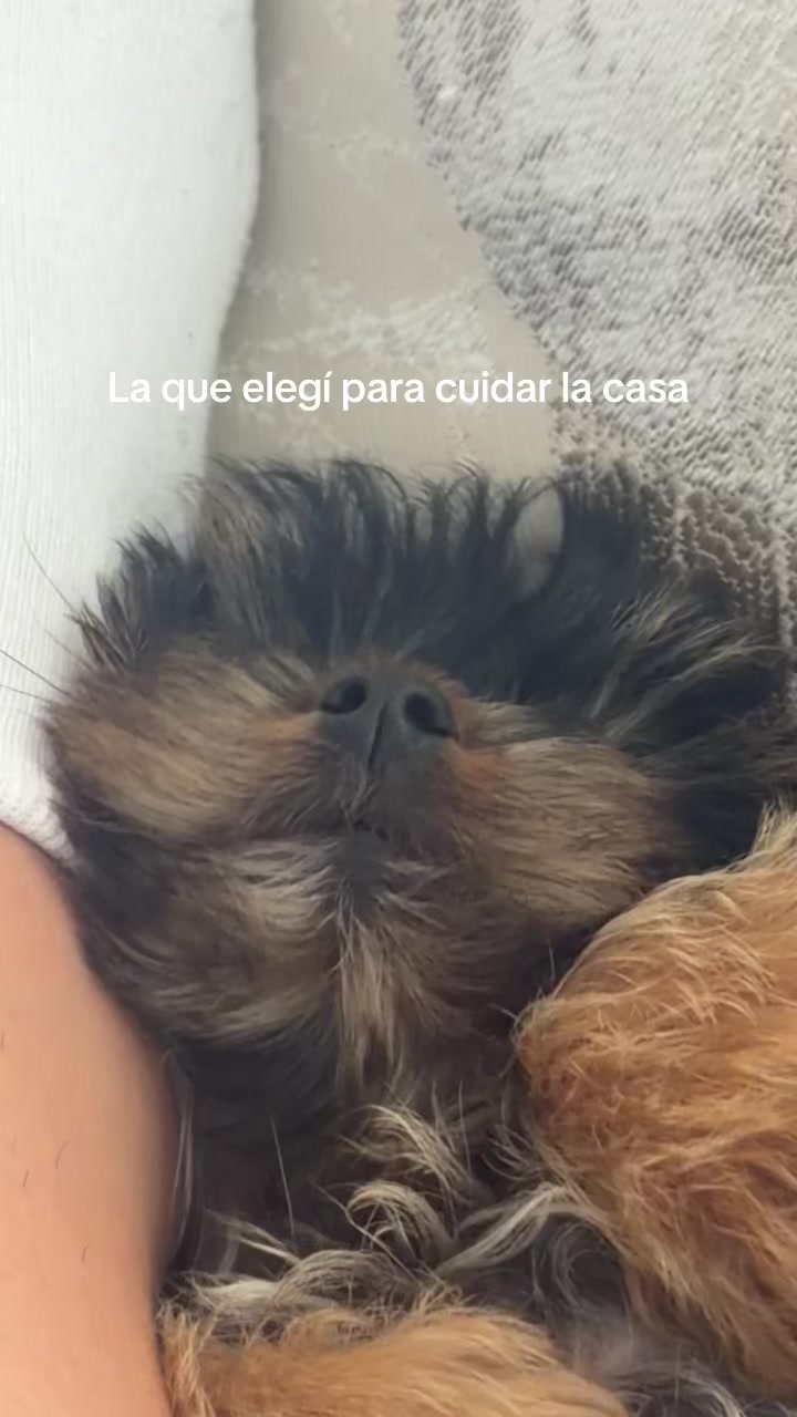 @salitovasquezzz