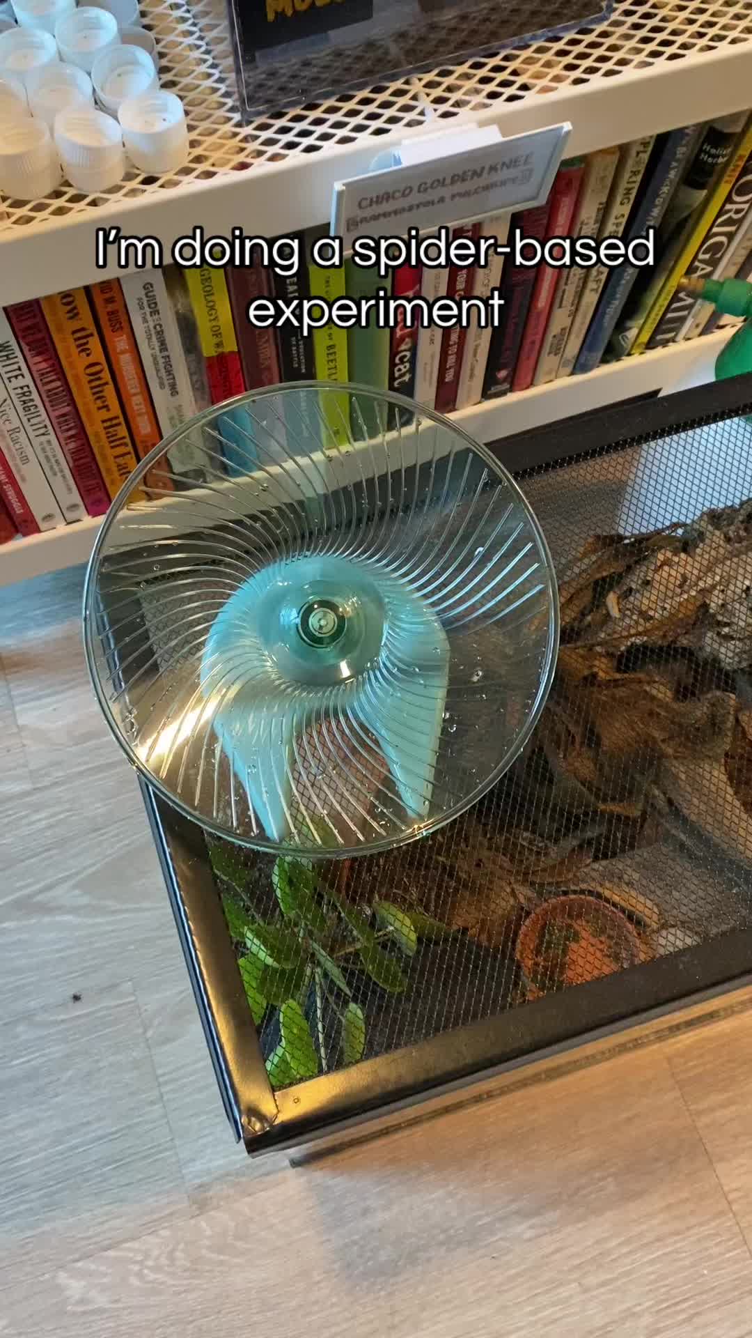 @Unsuspecting Fish
