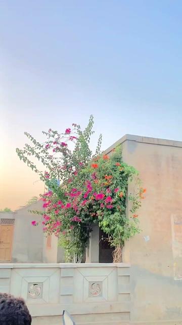 @😎❤️مانی سپراء 199❤️😎