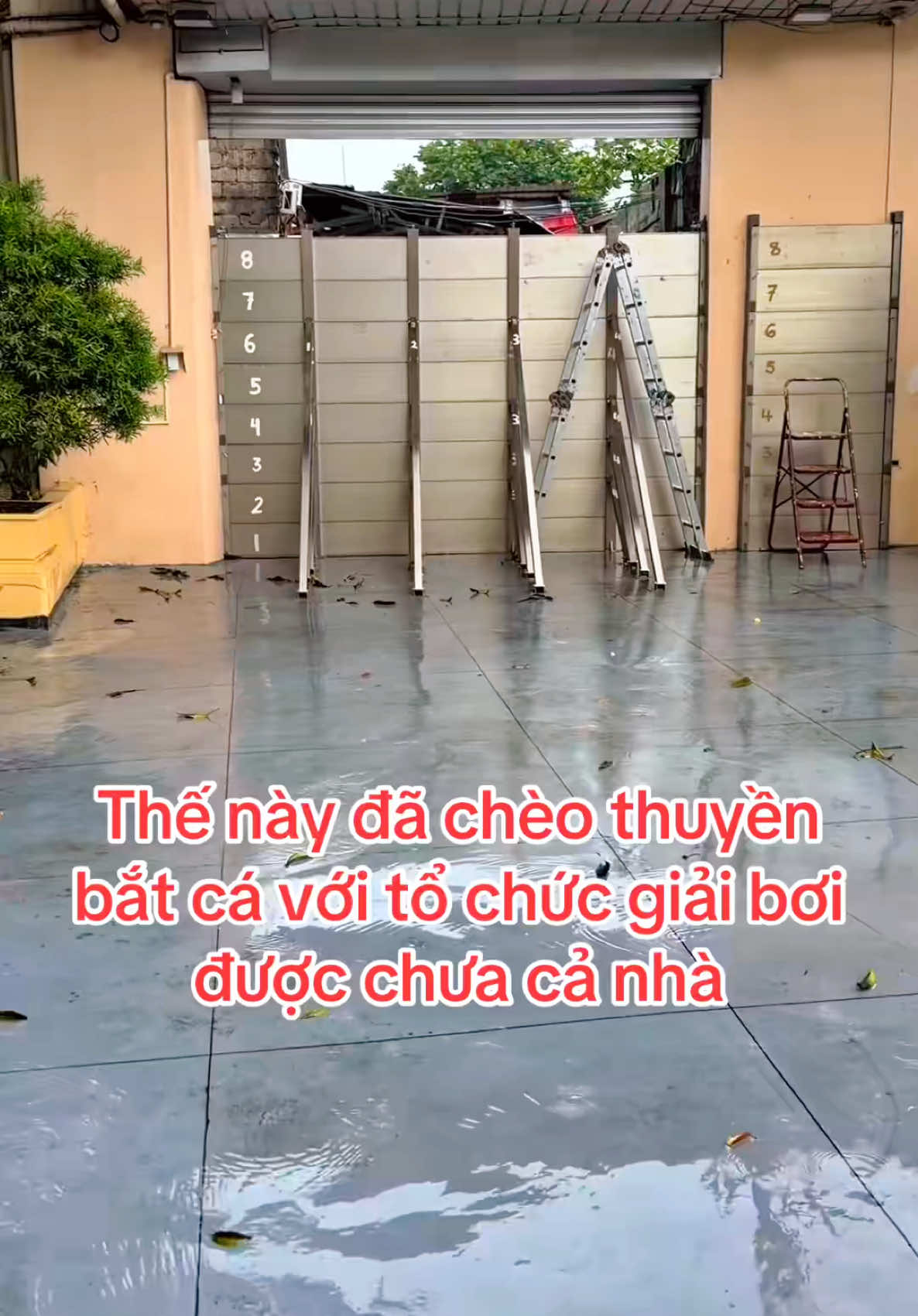 @Ho&agrave;ng Nam