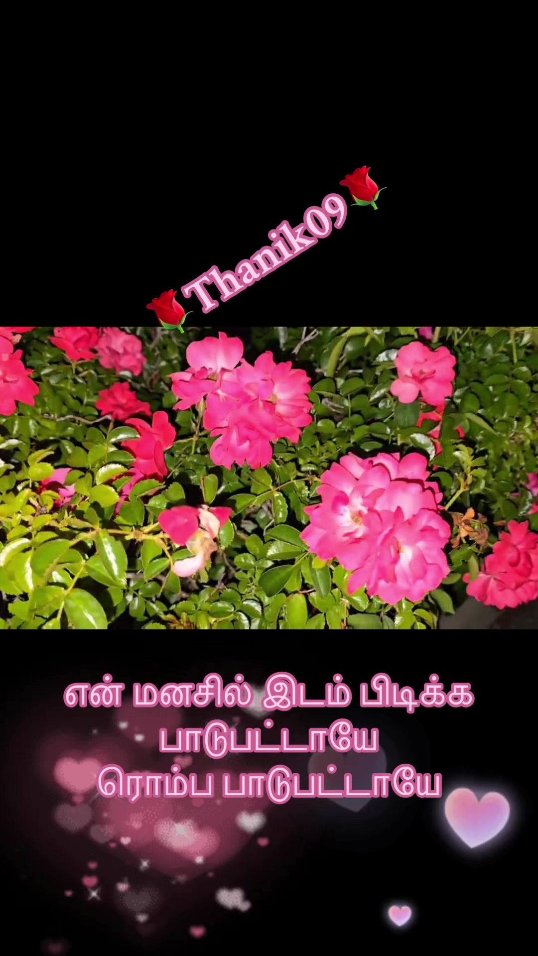 @Thanik