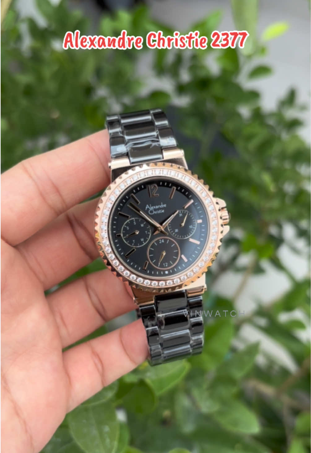 @vinwatch