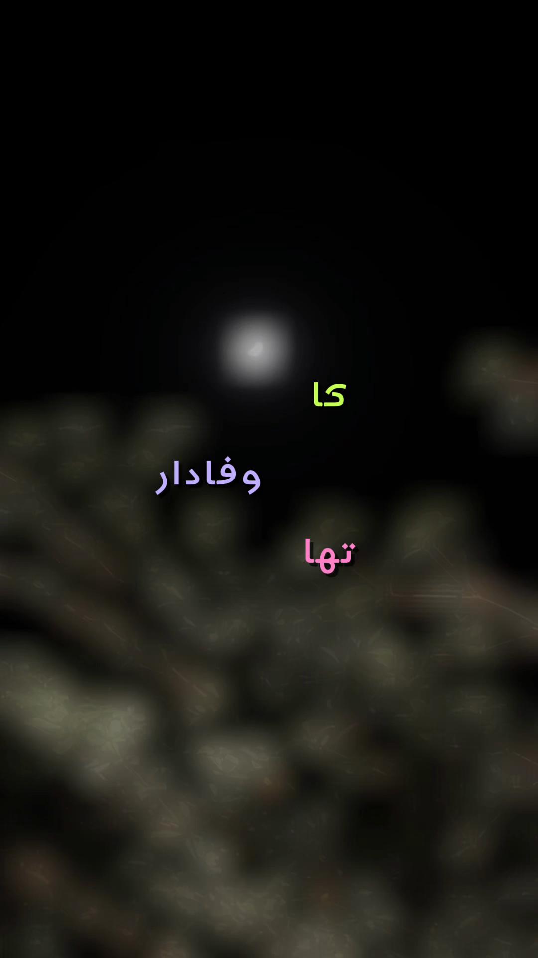 @عبدالرحمٰن مغل🤍