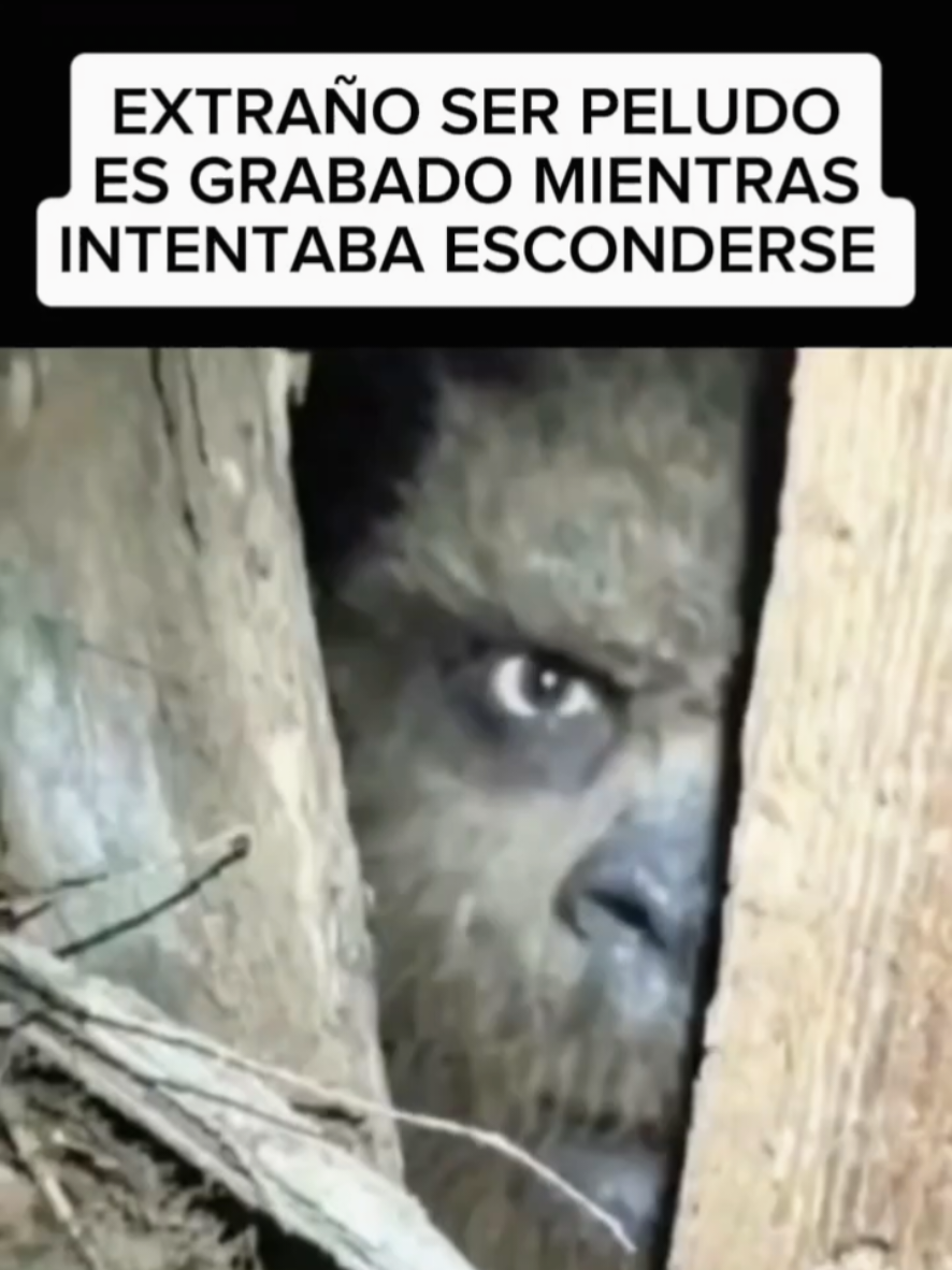 @KENCIVI