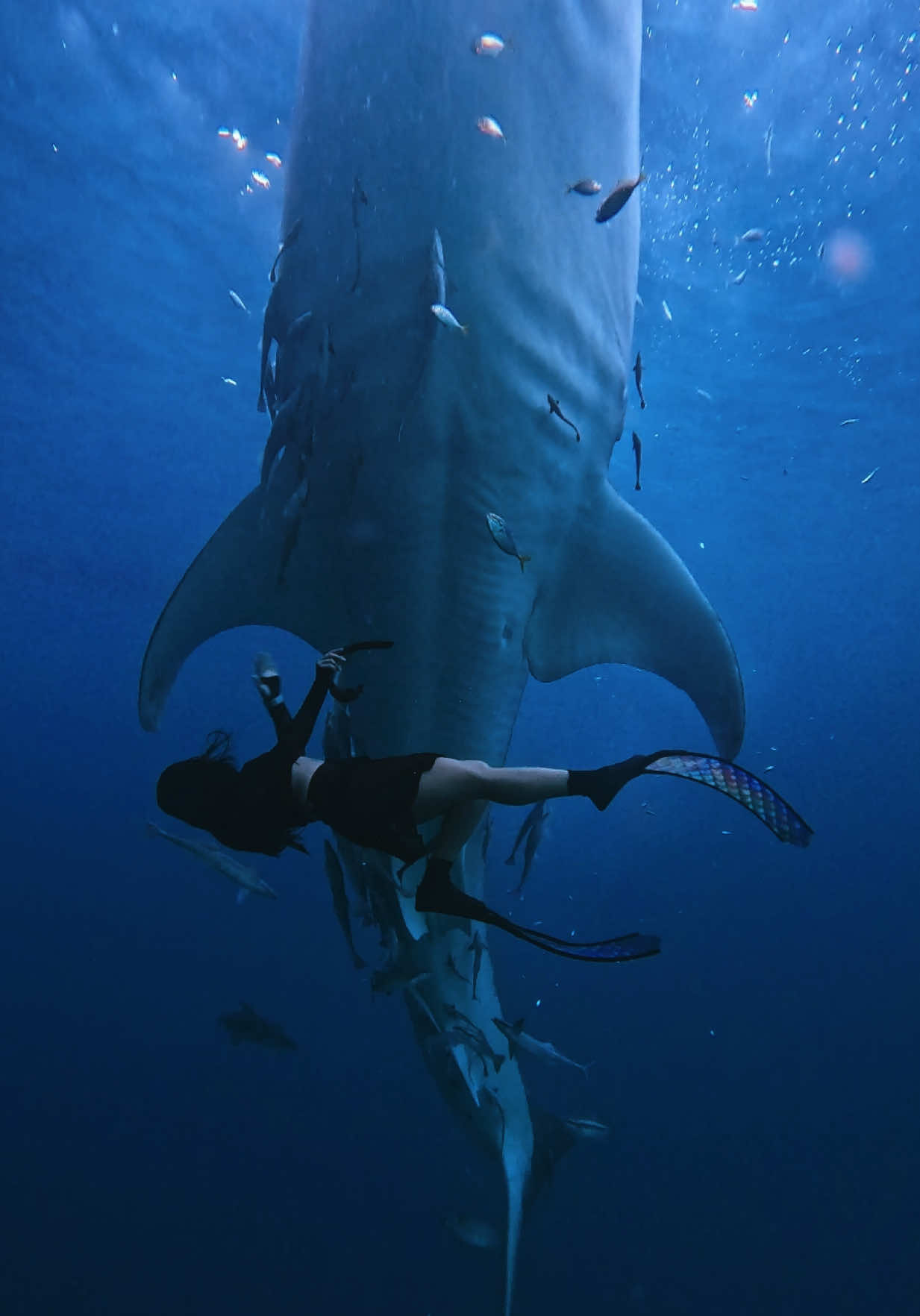 @𝐑 𝐕 🧜🏻&zwj;♀️