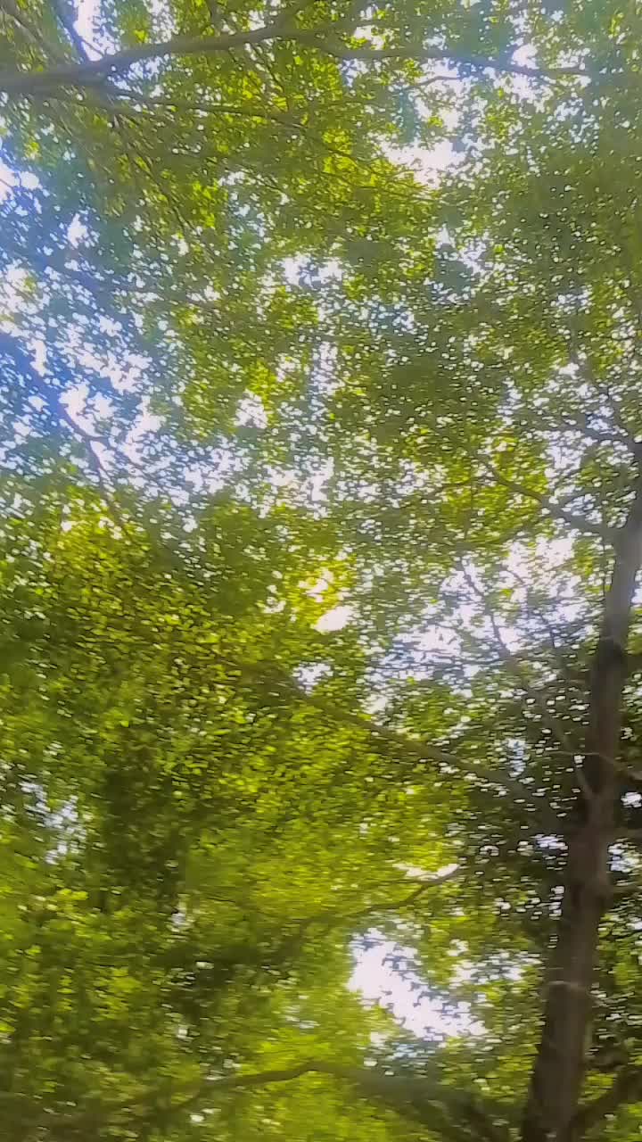 @raja804