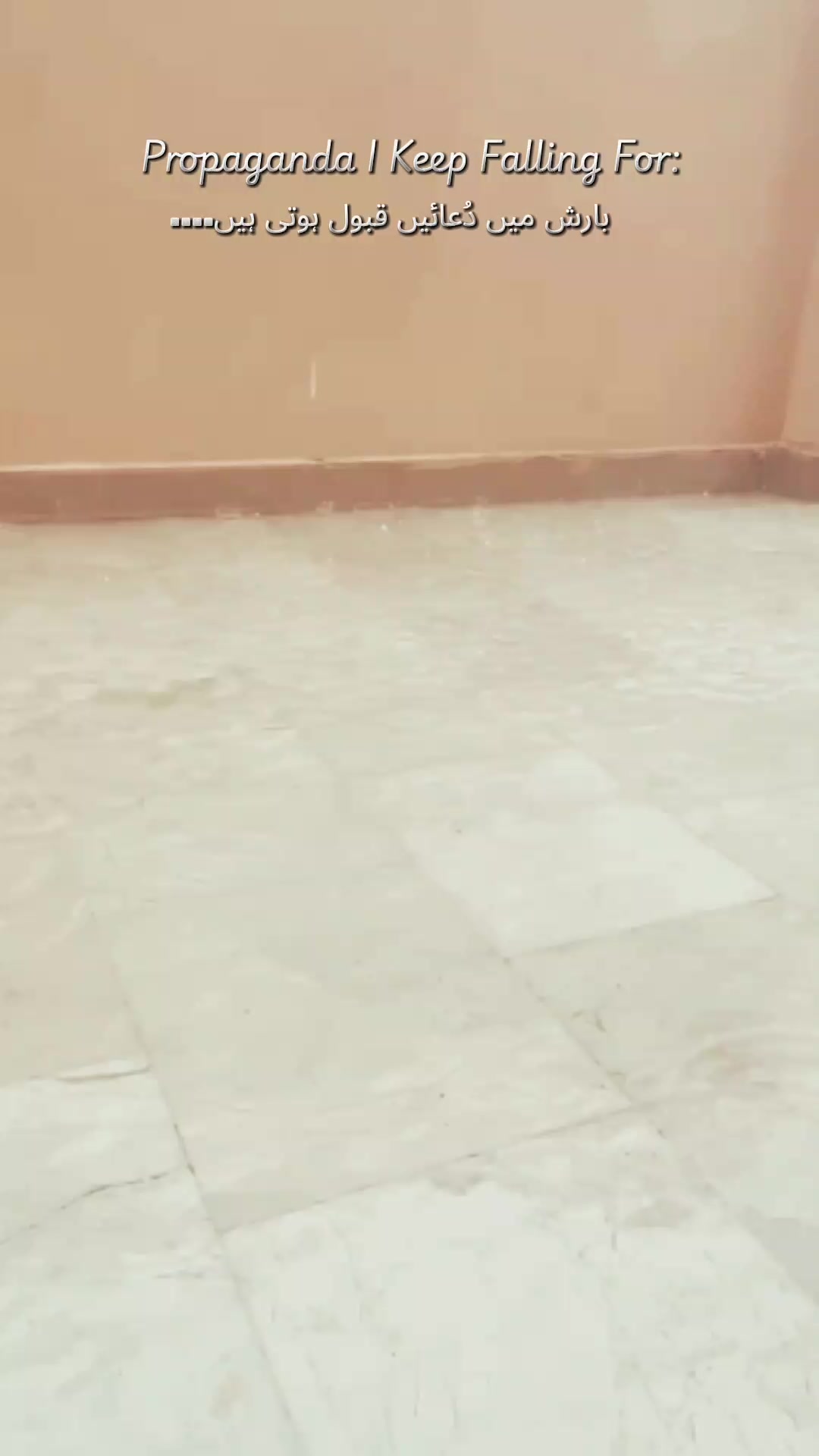 @KARDEŞ 🕷️