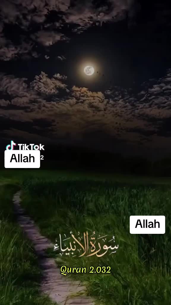 @❄️🪐🌌Syeda Mujahid🌟
