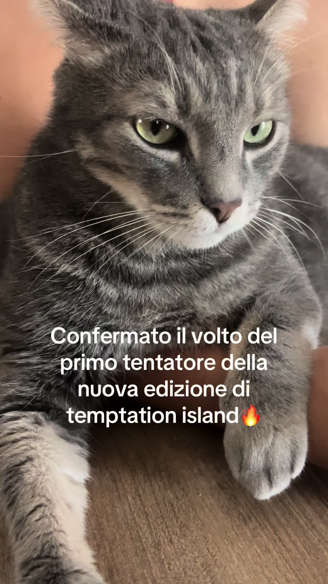 @Simona81🦋
