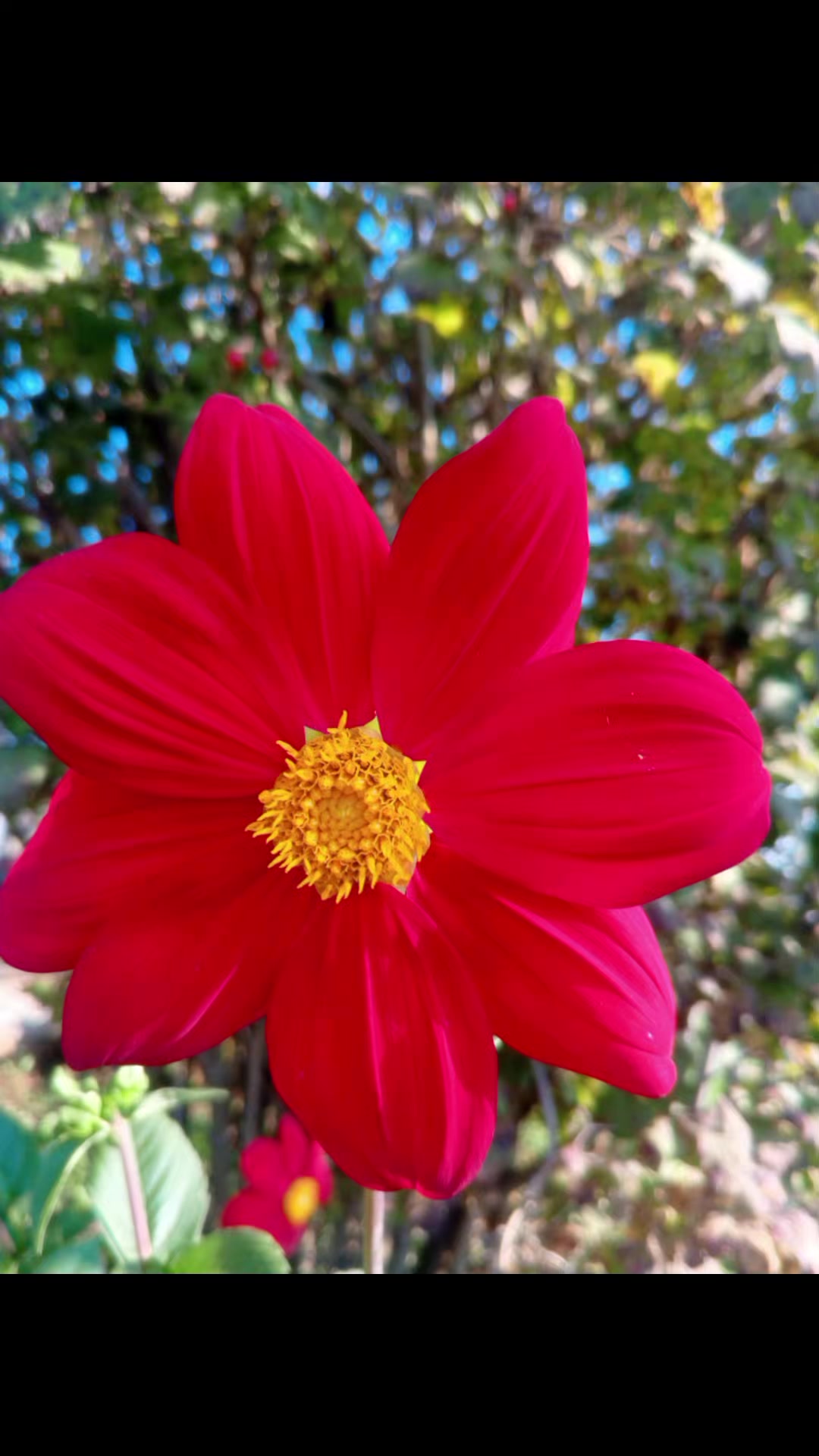 @Окся 🌼🌼🌼