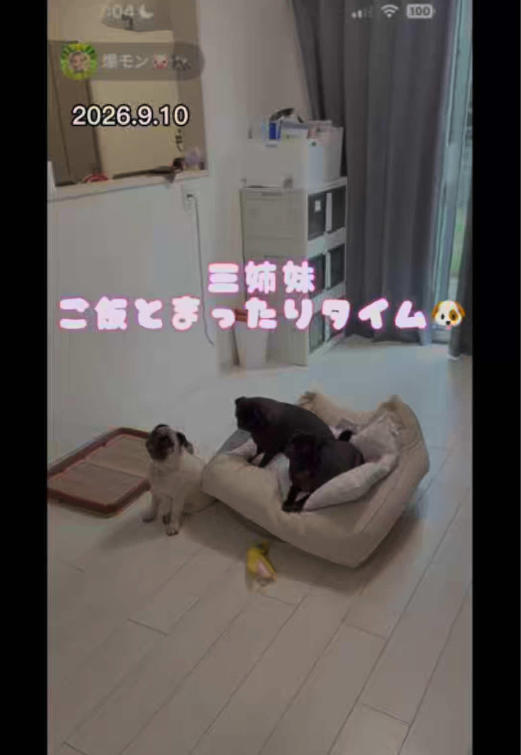 @すずか🧊🫧