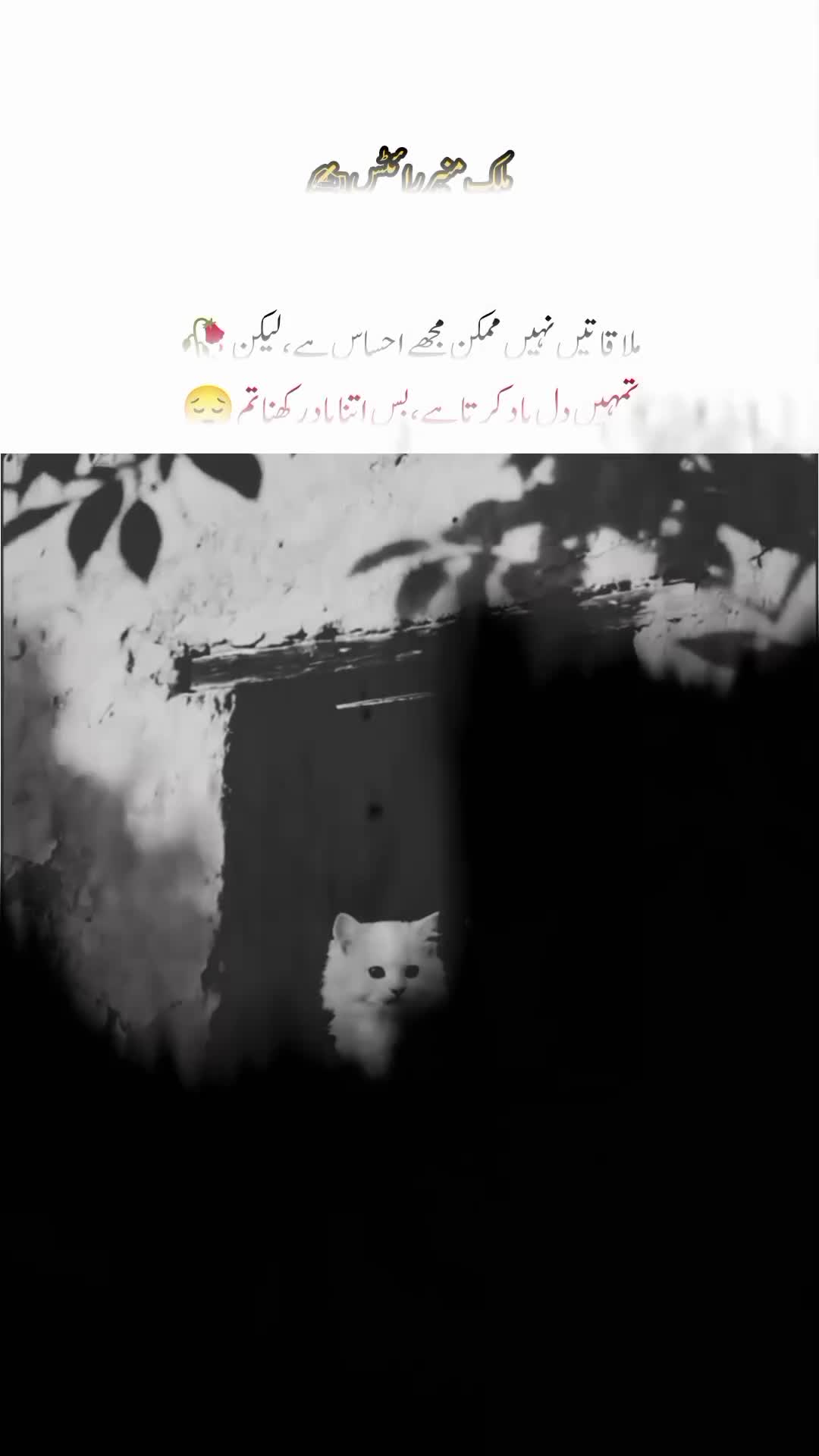 @تنہائی پسند🥂