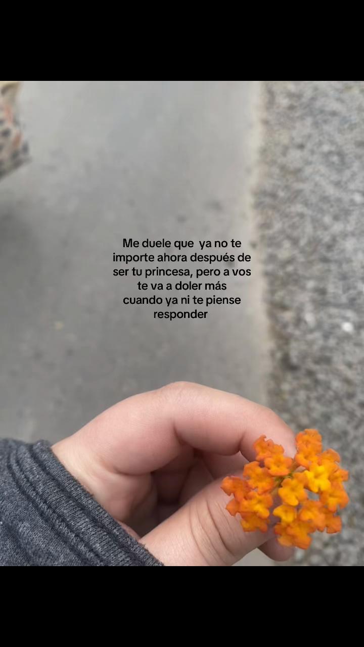 @soffrndzz_