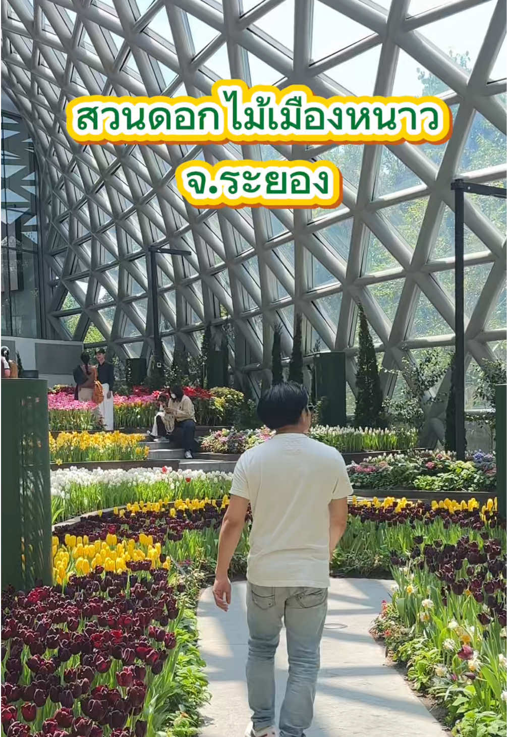 @ben เบน