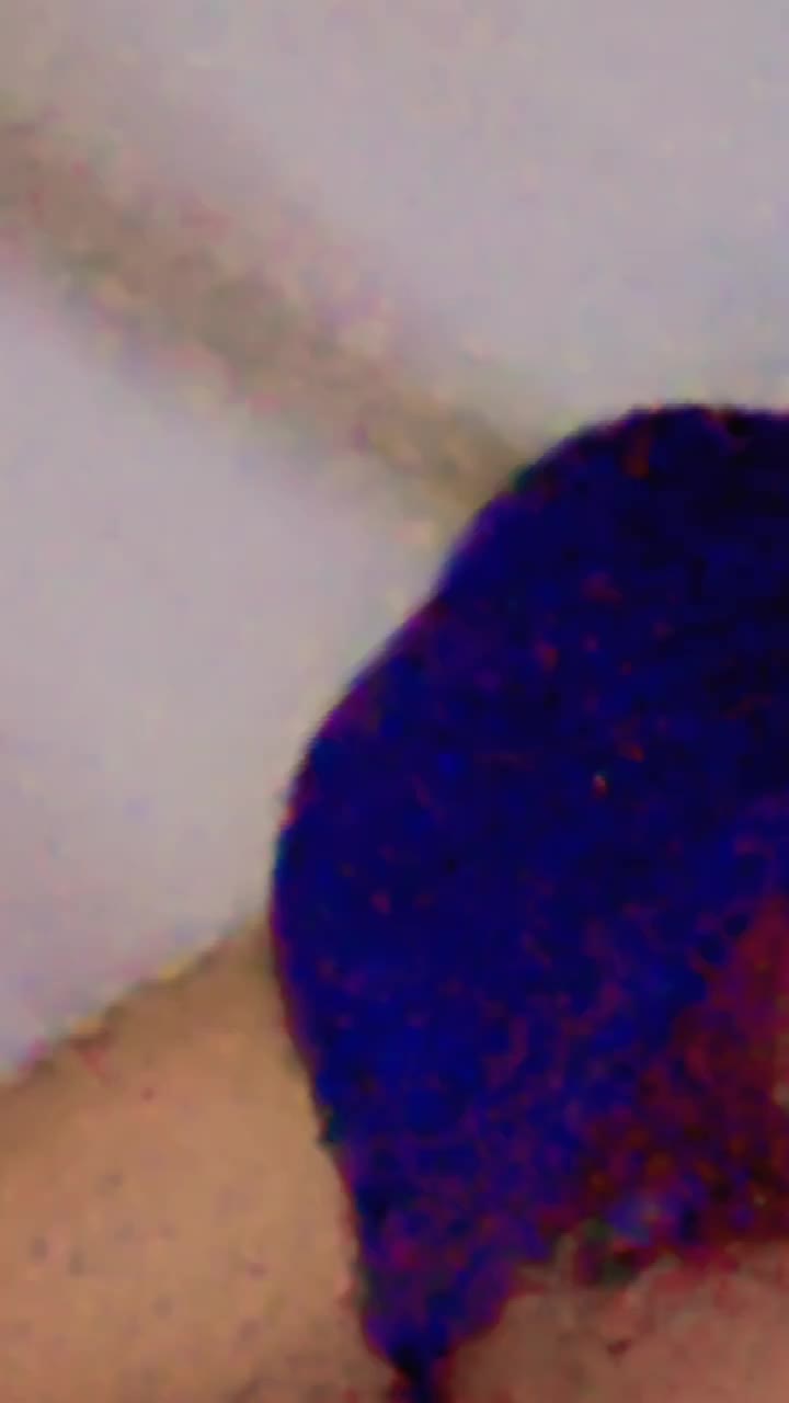 @nathunimukhiya69
