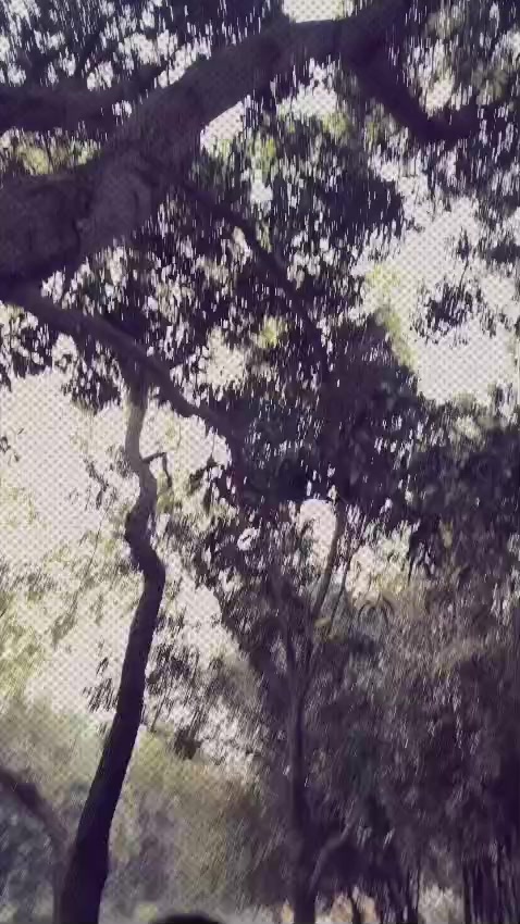 @Ranjesh Sada