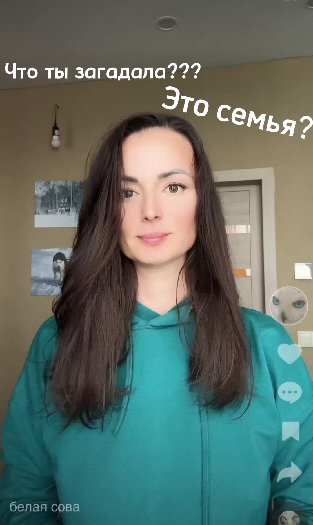 @белая сова