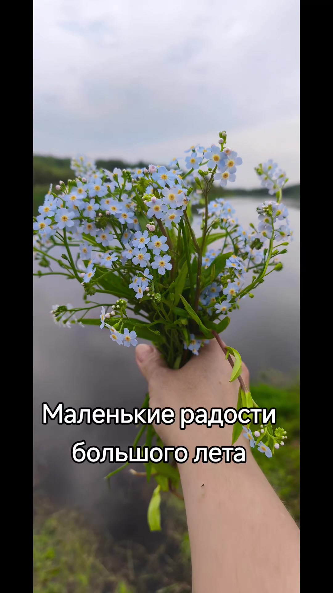 @Olechka