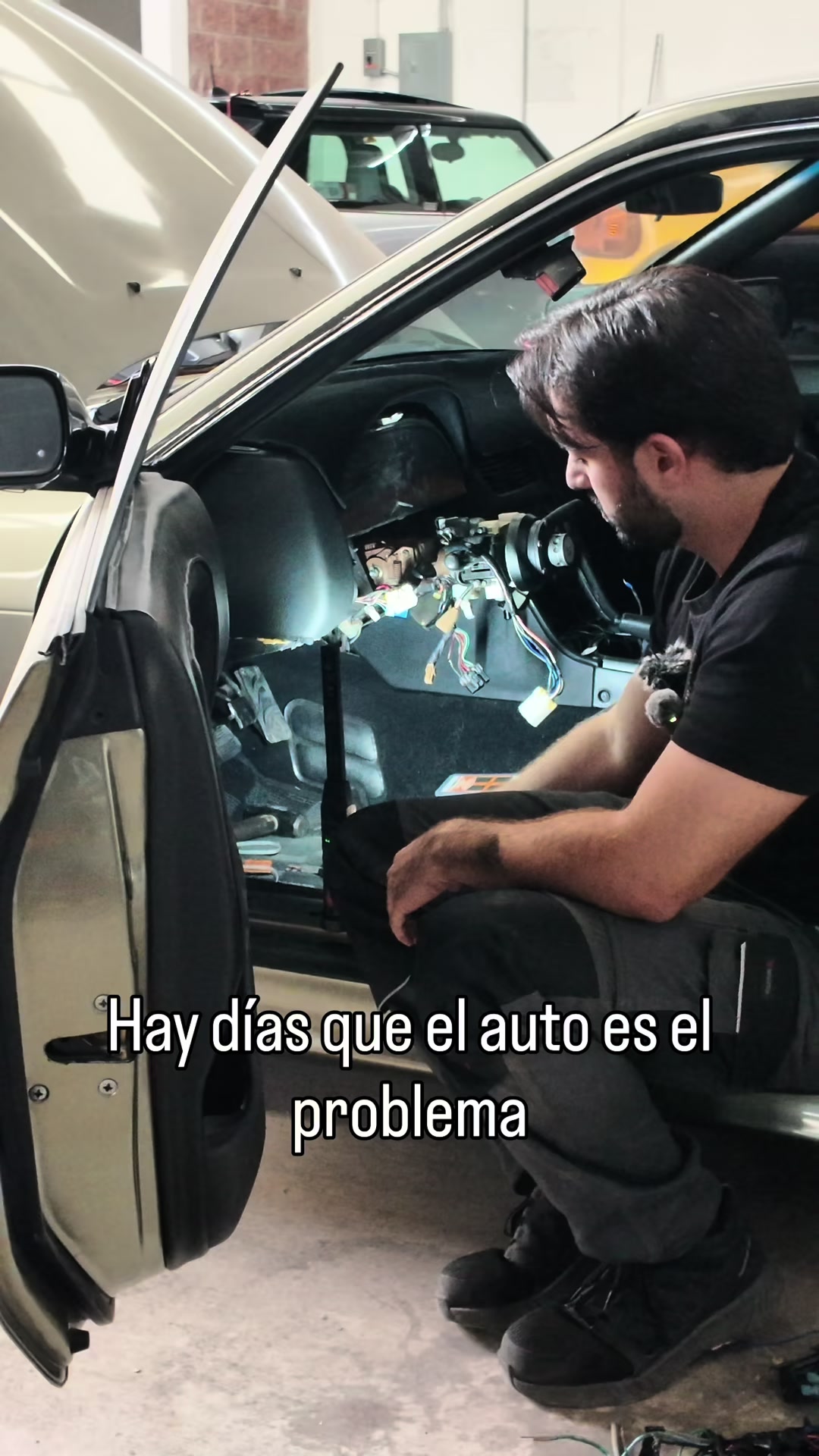 @Luis Fernando Cámara