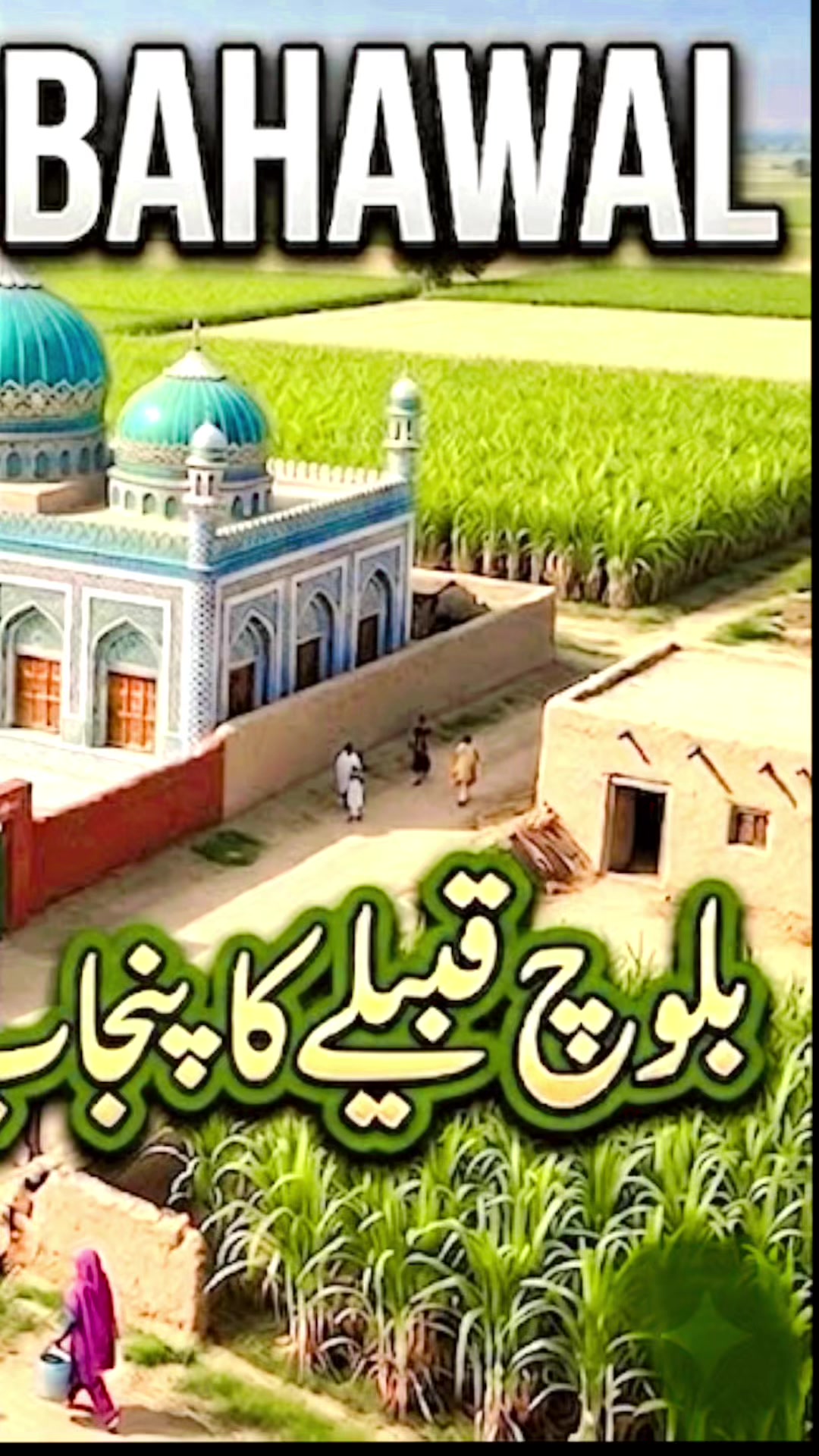 @Asghar Panwar